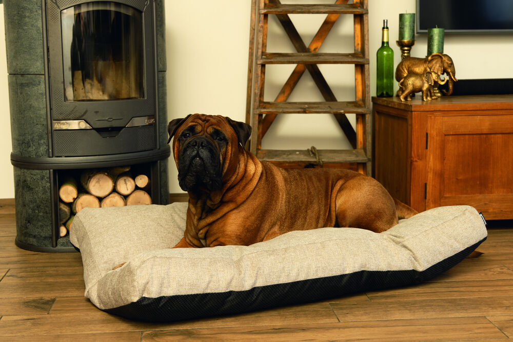 Beeztees Zia - Orthopedisch hondenkussen - beige - 22x60x80 cm - M