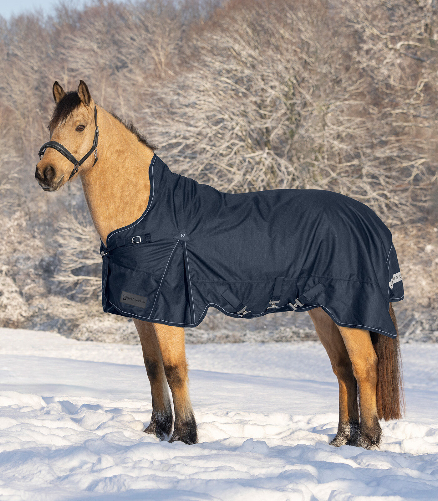 Waldhausen Scandic Hoge nek 200 gr - Winterdeken - Paardendeken - 1.00 cm - Blauw - 1.00 cm - 125/175 - 1.00 cm