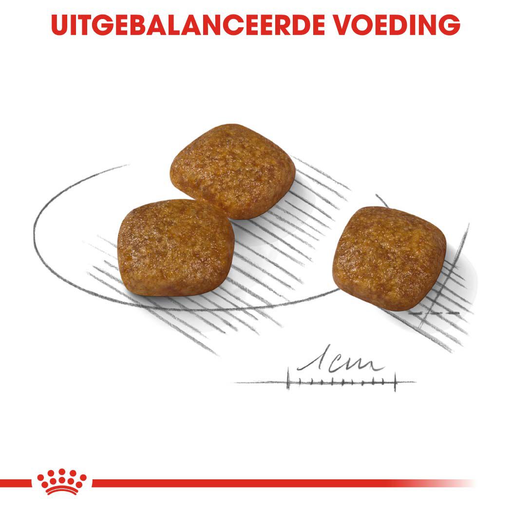 Royal Canin Urinary Care Mini - Hondenvoer - 1 - gevogelte