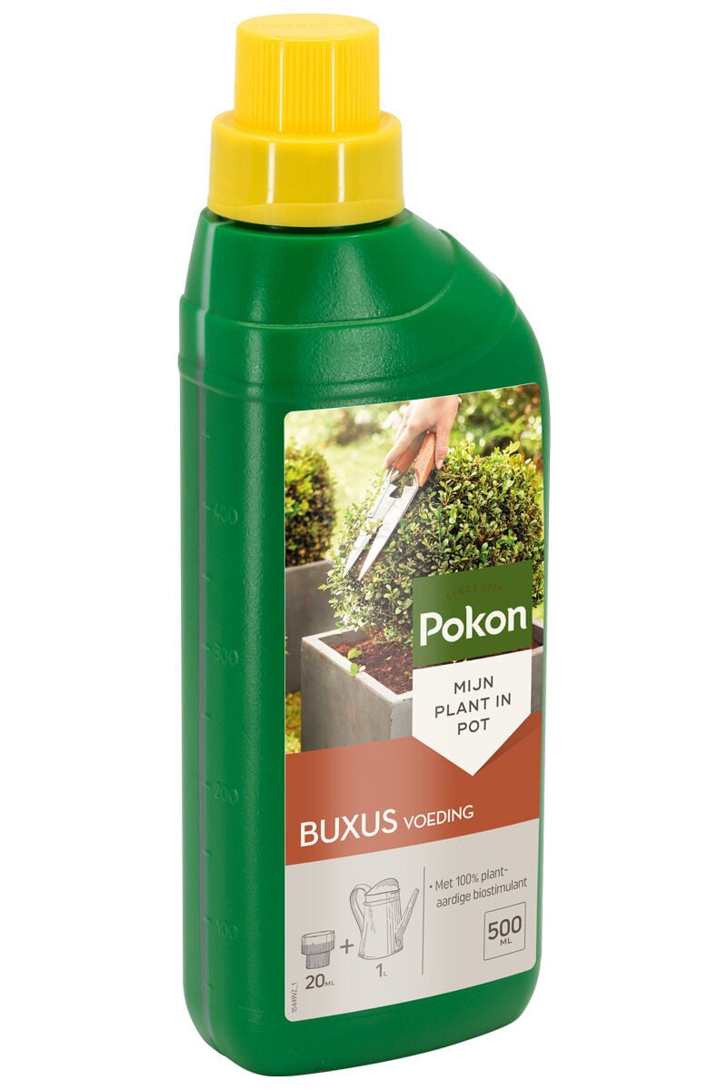 Pokon Buxus voeding - Siertuinmeststof - 500