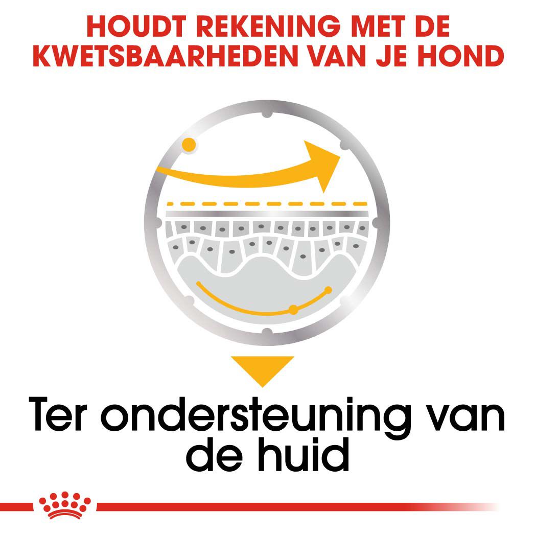 Royal Canin Dermacomfort Wet - Hondenvoer - 1020 - gevogelte