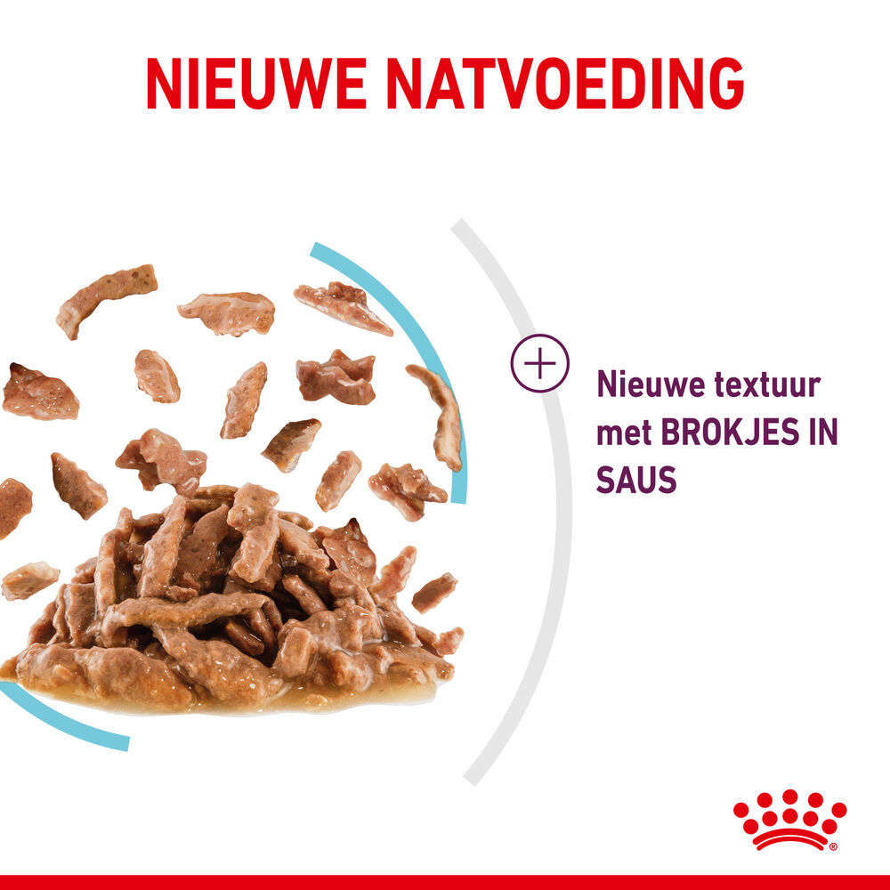 Royal Canin Sensory Feel - Kattenvoer - 1020