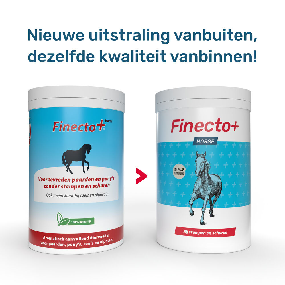 Finecto+ Horse - Supplement - 600 - Pot