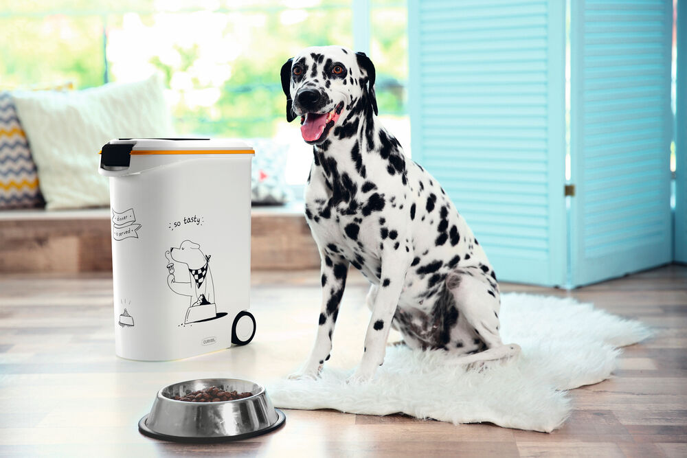 Curver Dis - Hond - Voercontainer - 54.00 l - 43.00 cm - Wit Grijs - 49.00 cm - 28.00 cm
