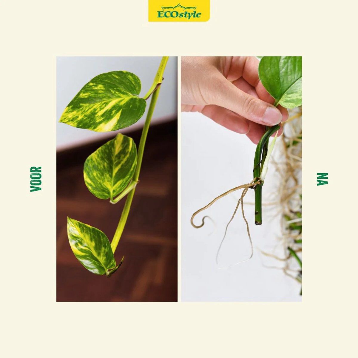ECOstyle - Stekpoeder - 25