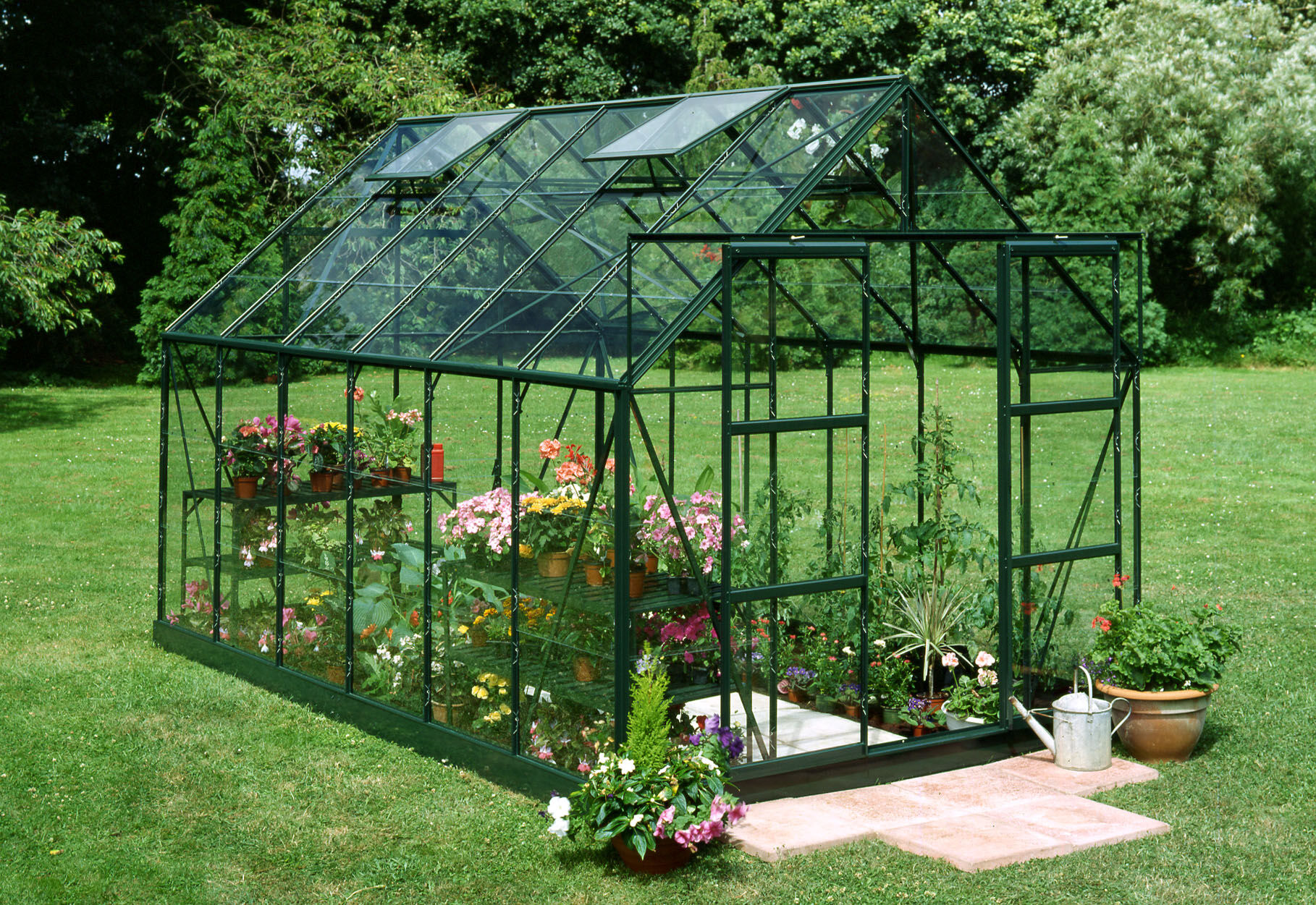 Halls Magnum 128 - Tuinkas - 258.00 cm - Groen - Veiligheidsglas - 257.00 cm - 384.00 cm