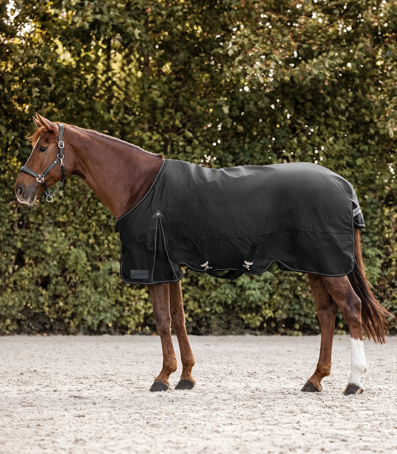 Waldhausen Arctic 300 gr - Winterdeken - Paardendeken - 1.00 cm - Zwart - 1.00 cm - 115/165 - 1.00 cm