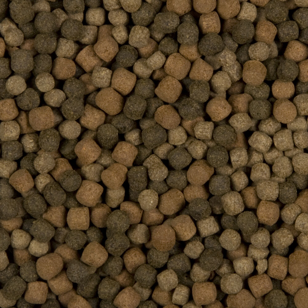 SaniKoi Colour Hi-Grow Mix 6mm - Vijvervissenvoer - 3