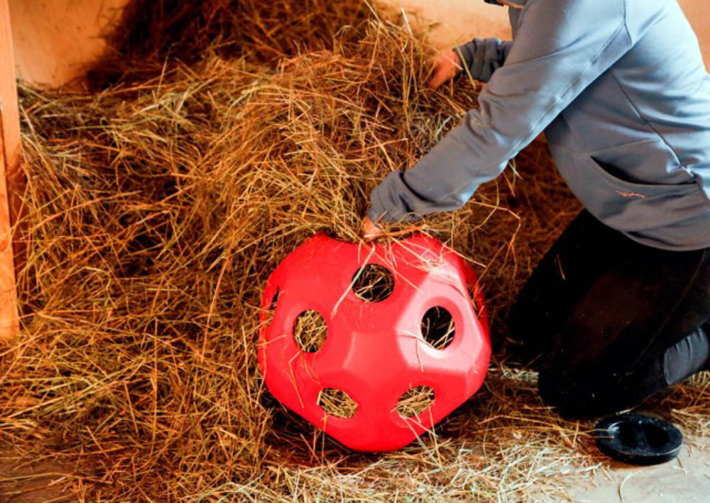 Kerbl Grote paarden - Voerspeelbal - Rood