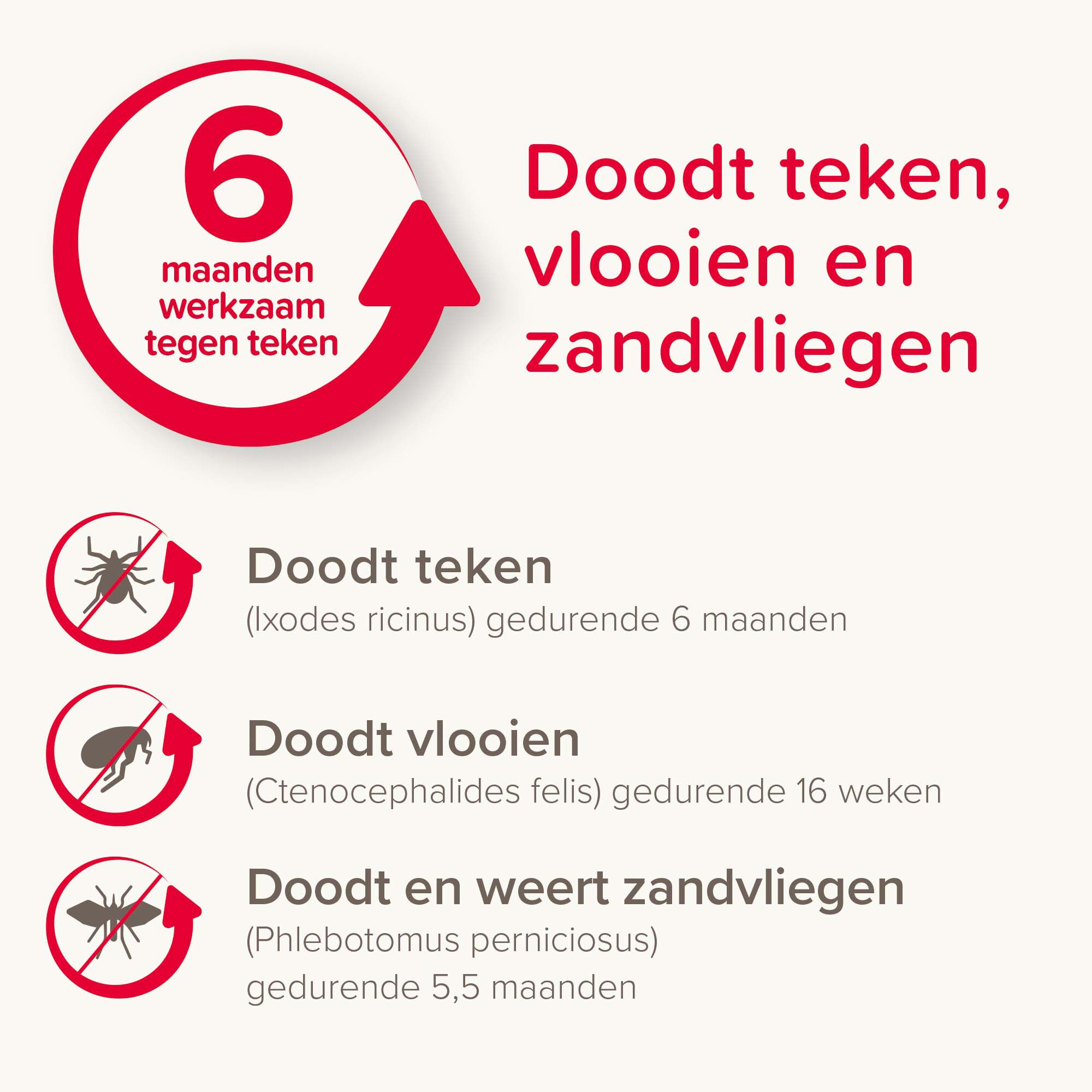 Beaphar Canishield - Anti Vlooien en Tekenband Hond - klein/middel - M