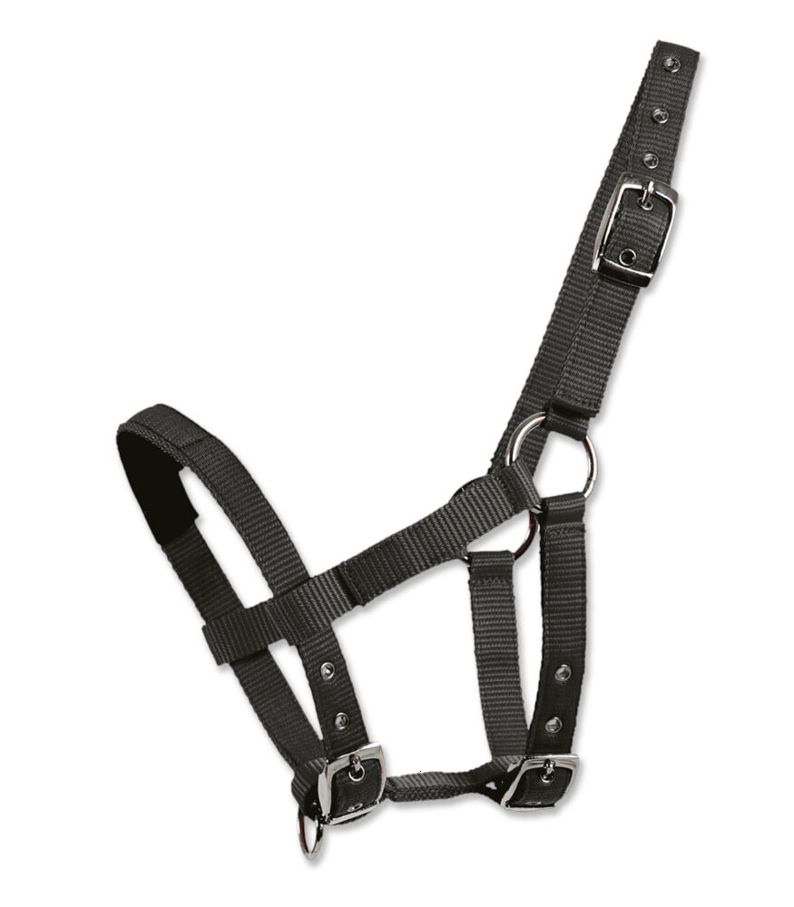 Waldhausen Mini - Halster - Zwart - Mini shetlander