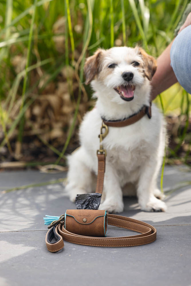 Beeztees Balacron - Poepzakhouder Hond - bruin