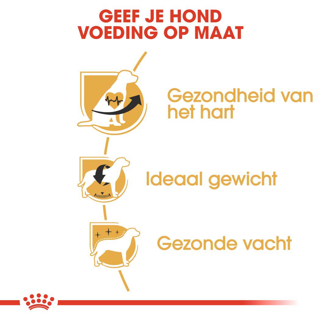 Royal Canin Cavalier King Charles  Adult - Hondenvoer - 1.5 - gevogelte