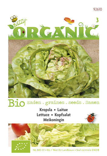 Buzzy Kropsla Lactuca sativa Meikoningin - Sla Buzzy Kropsla Lactuca sativa Meikoningin - Sla