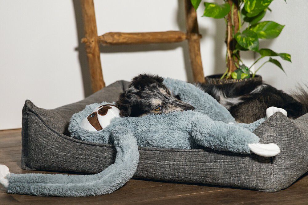 Beeztees Luiaard Knuffel - Hondenspeelgoed - 16.00 cm - null - 30.00 cm - XL - 80.00 cm