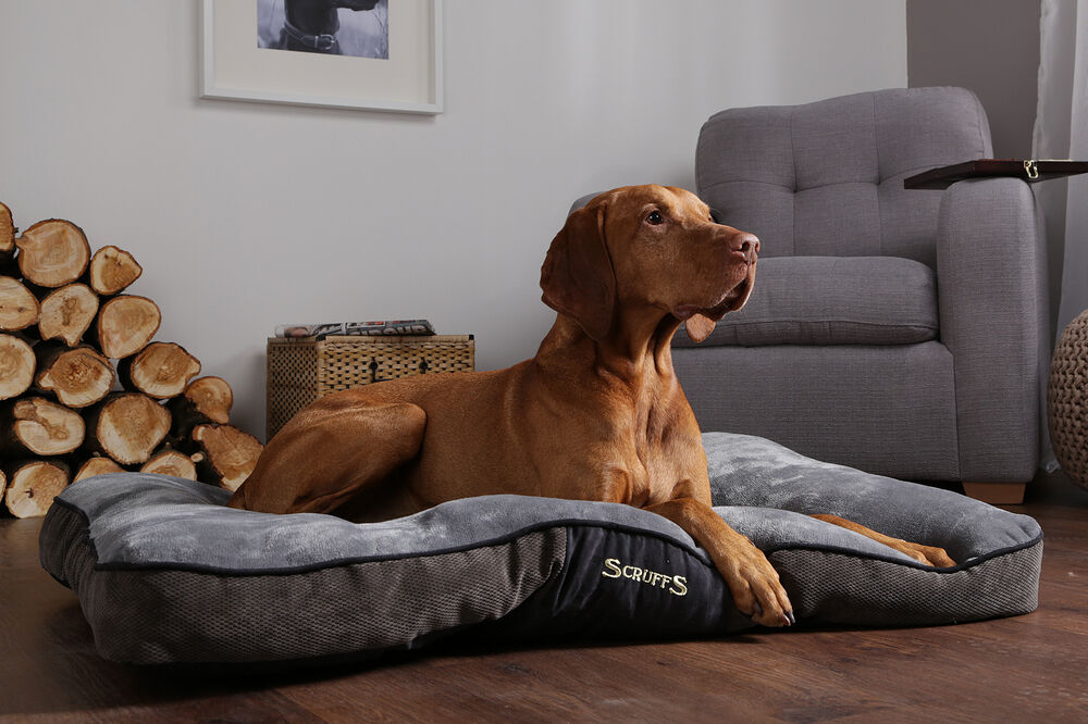Scruffs Chester - Hondenkussen - 1.00 cm - grijs - 82.00 cm - L - 1.00 cm