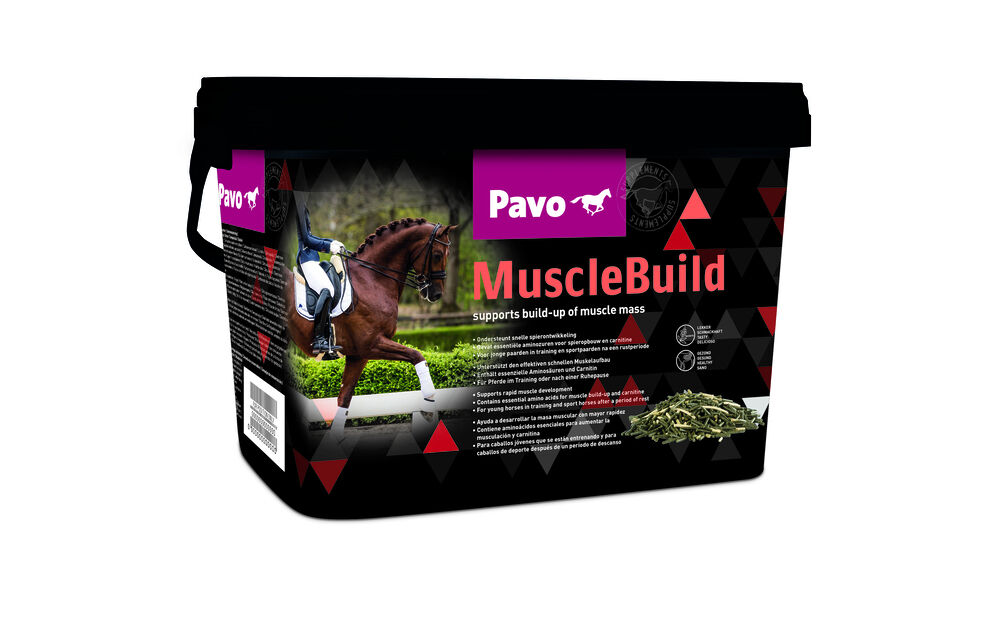 Pavo Musclebuild - Supplement - 3 - Emmer Pavo Musclebuild - Supplement - 3 - Emmer