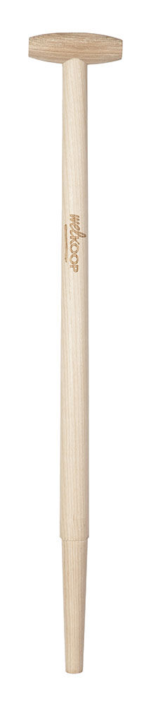 Welkoop - Spearwel - Losse stelen Welkoop - Spearwel - Losse stelen