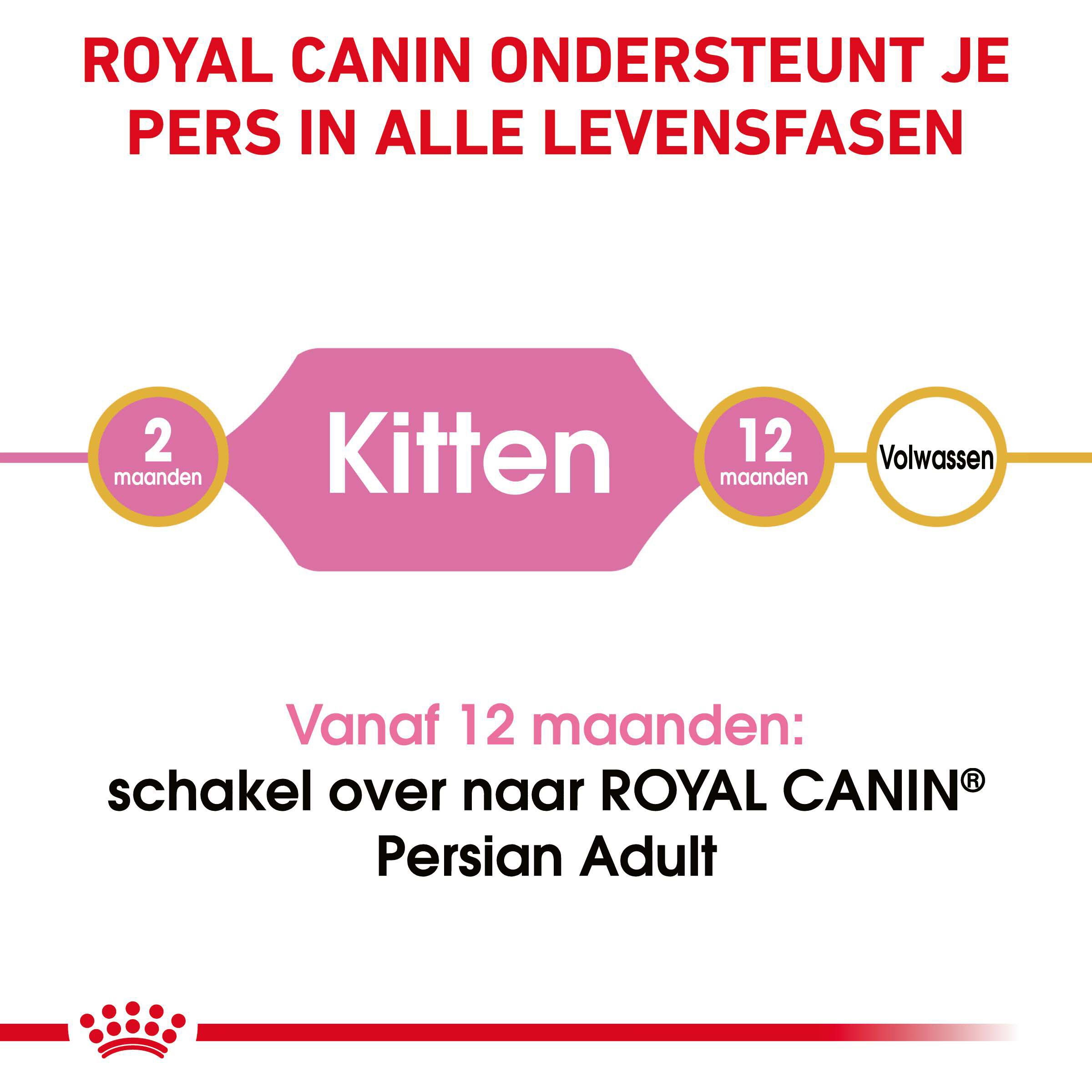 Royal Canin Persian Kitten - Kattenvoer - 10 - Gevogelte