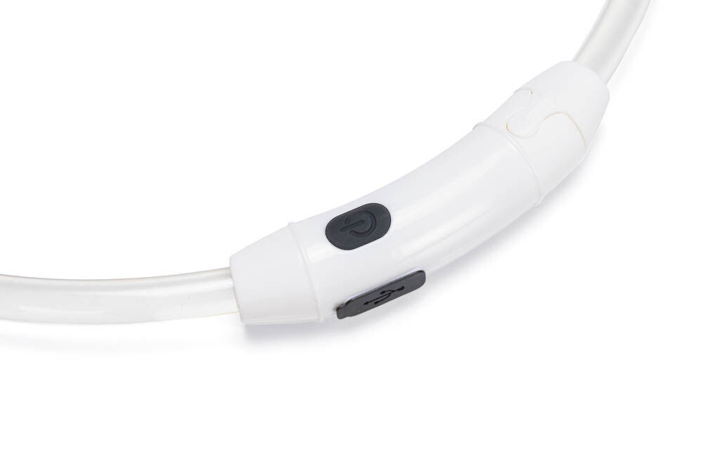 Beeztees Dogini USB - Lichtgevende halsband Hond - 65 cm - 30.50 cm - multi - 10 mm - 21.00 cm - 65.00 cm