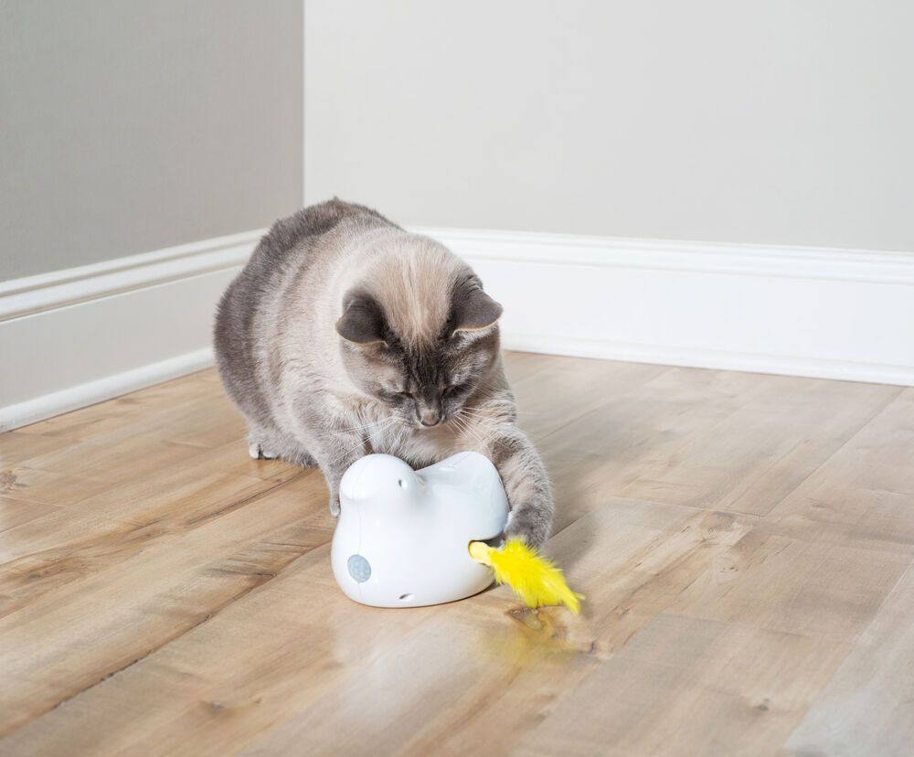 Petsafe Peek-a-bird - Kattenspeeltje