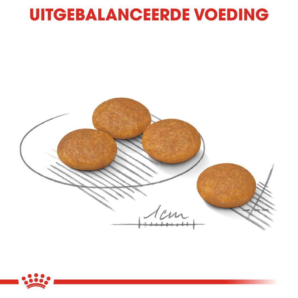 Royal Canin Dermacomfort Mini - Hondenvoer - 3 - gevogelte