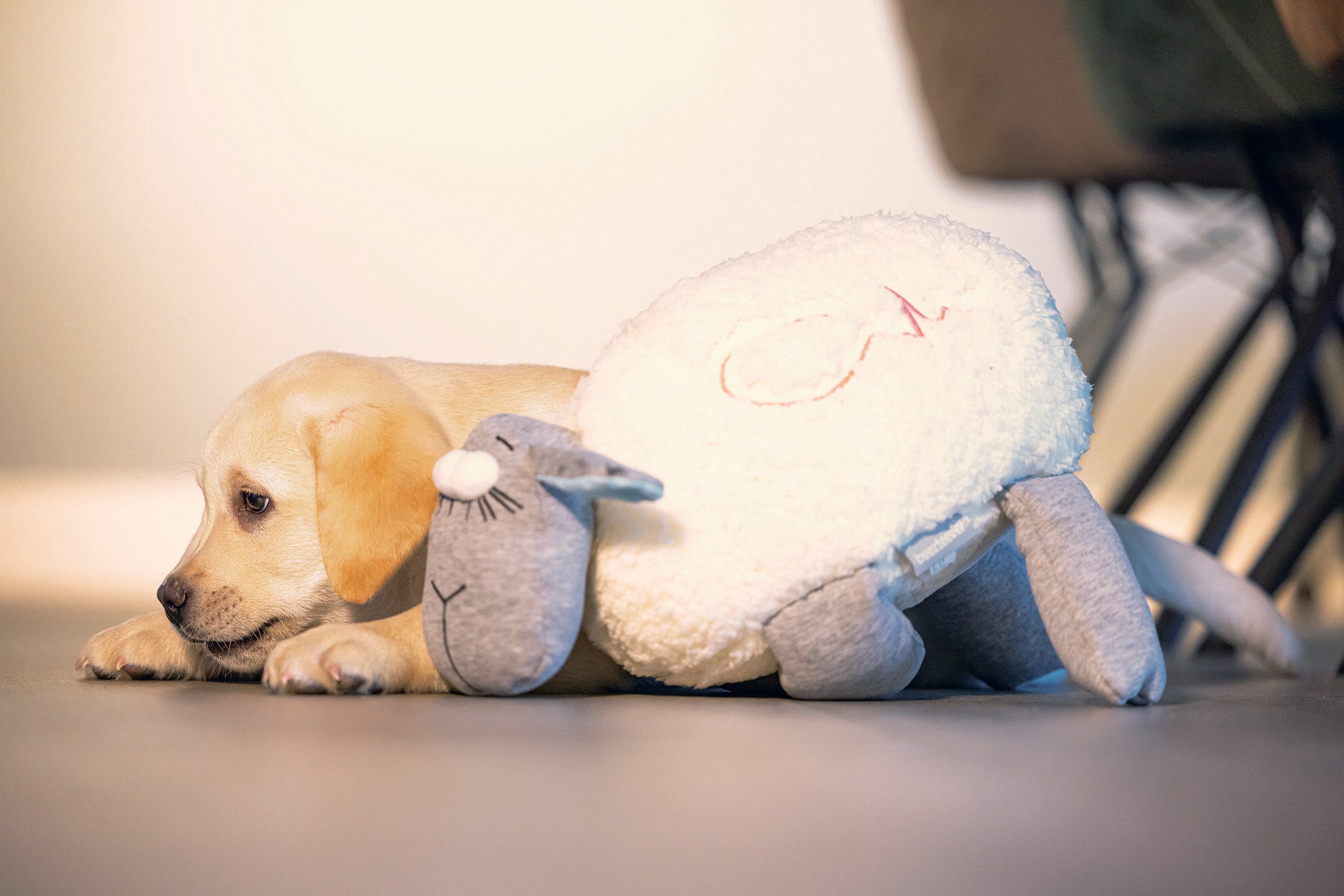 Beeztees Schaap - Knuffel met hartslag - Puppyspeelgoed - Grijs Wit - 14x36x25 cm