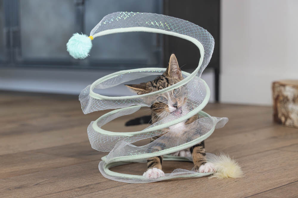Beeztees Gabi - Katten Speelspiraal - 25.00 cm - 25.00 cm - 1.00 cm