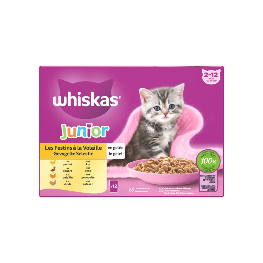 Whiskas  Junior Gevogelte Selectie in gelei - Kattenvoer - 12x85 gram