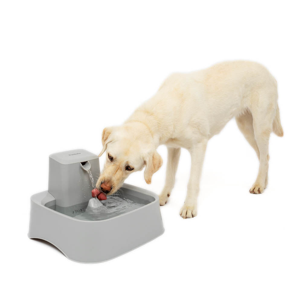 Petsafe Drinkwell - Drinkfontein - 37.00 cm - Grijs - 14.00 cm - 14.00 cm