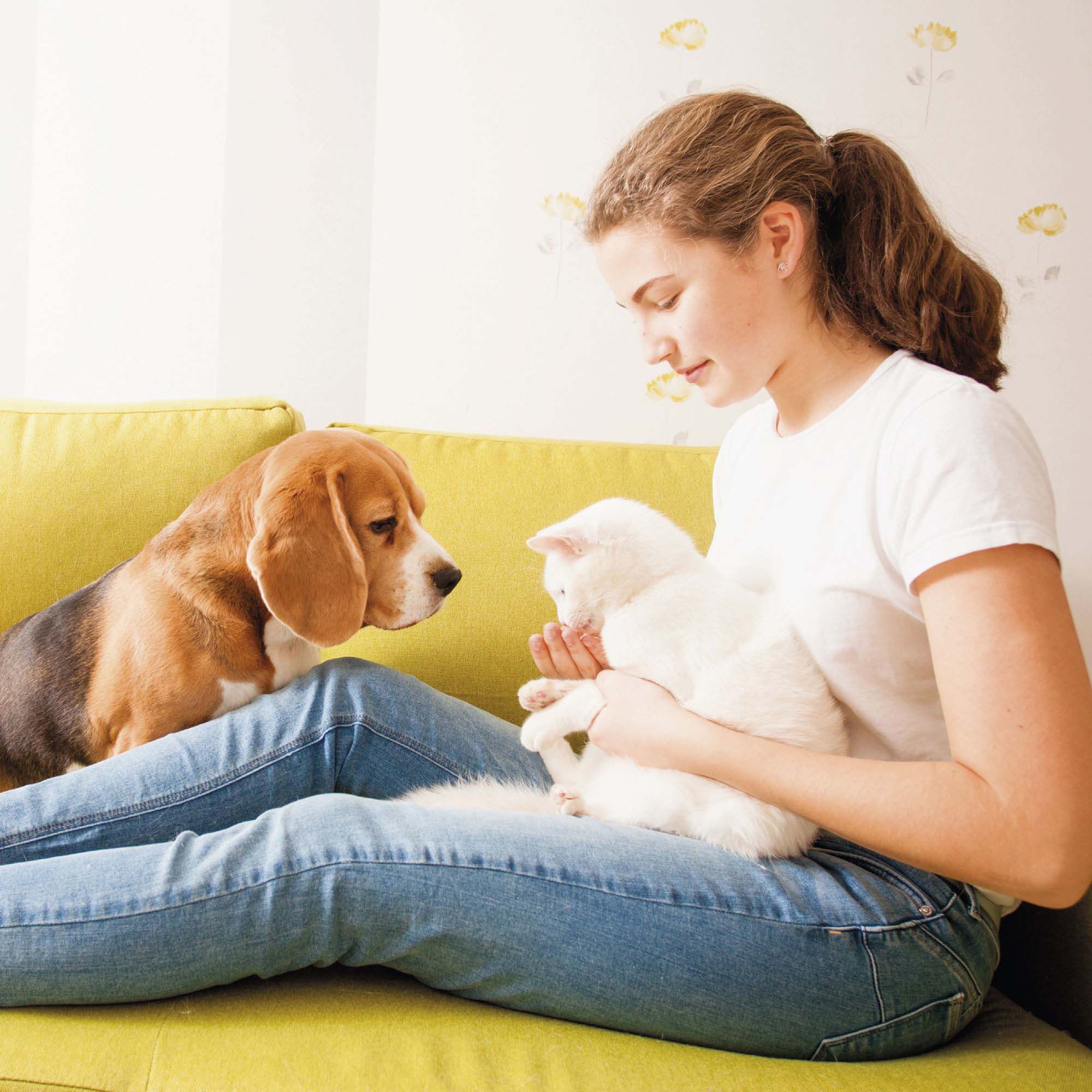 Beaphar No Stress- Tabletten