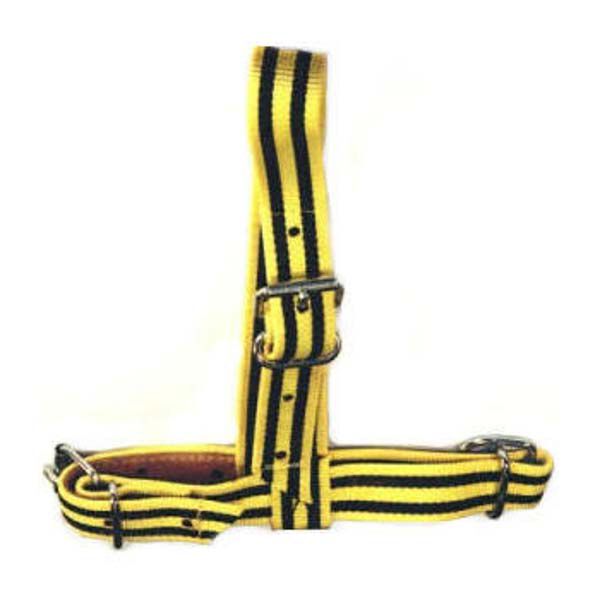 Keuringshalster Kalf Keuringshalster Kalf