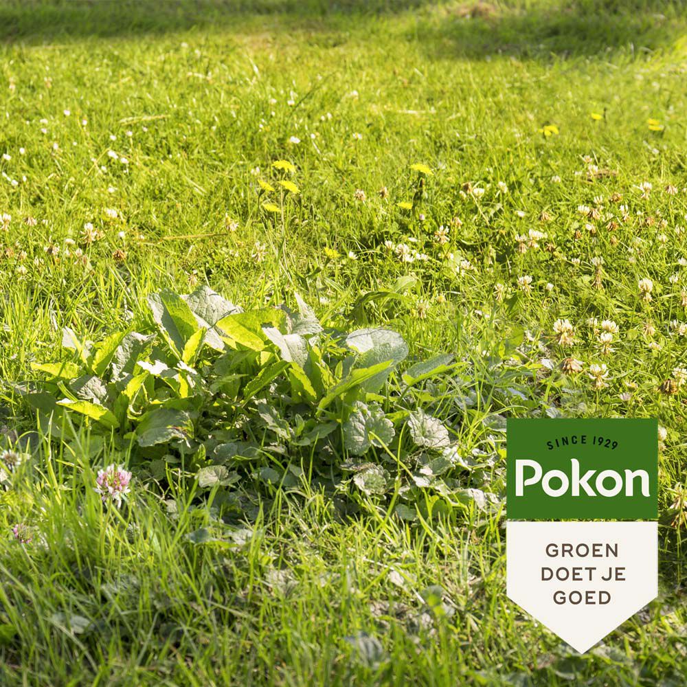 Pokon Onkruid Weg!  - Gazonmeststof - 250 m²