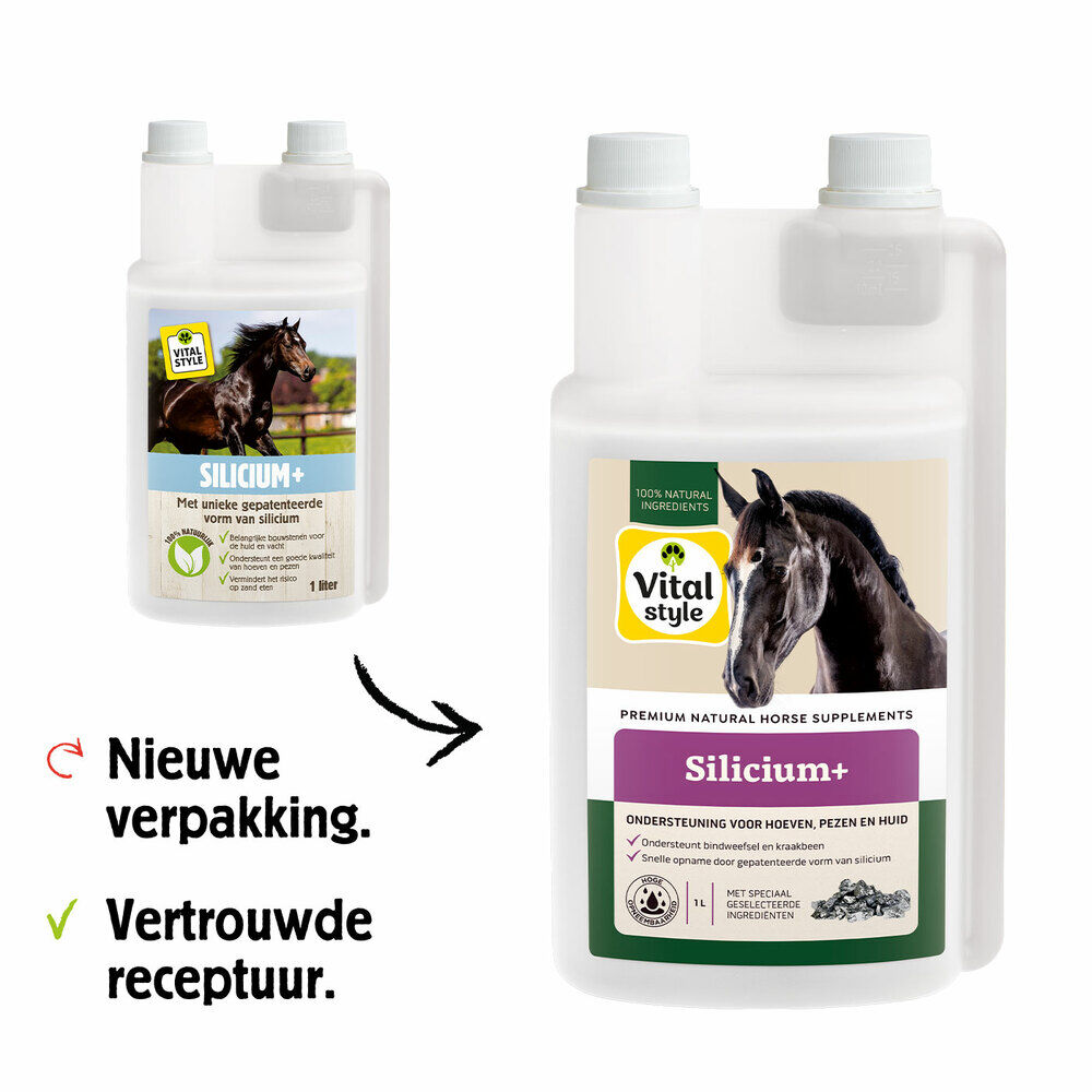 VITALstyle - Silicum+ - 1 - Flacon