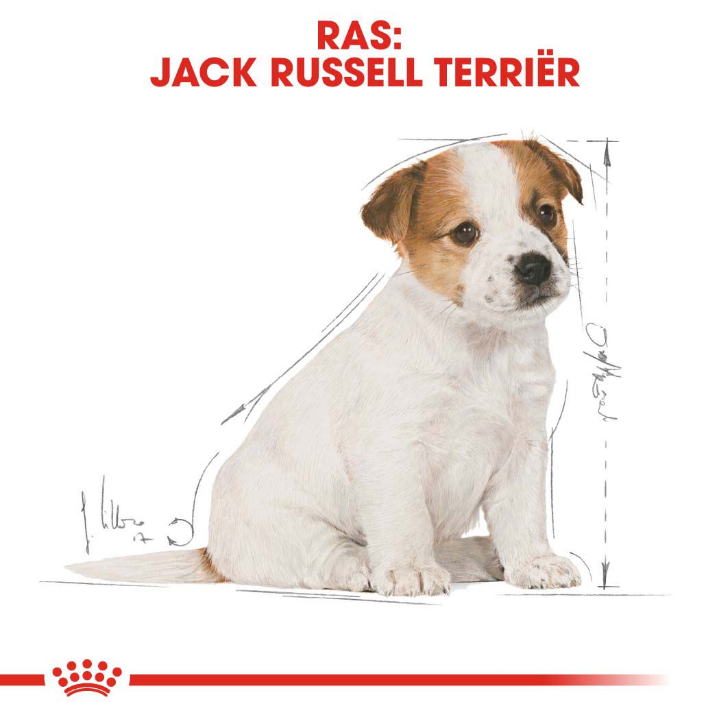 Royal Canin Jack Russell Terrier Junior - Hondenvoer - 1.5 - gevogelte