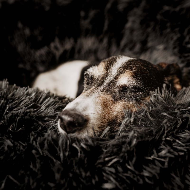 District 70 Fuzz - Fluffy hondenmand - Grijs - 25x80x80 cm - L