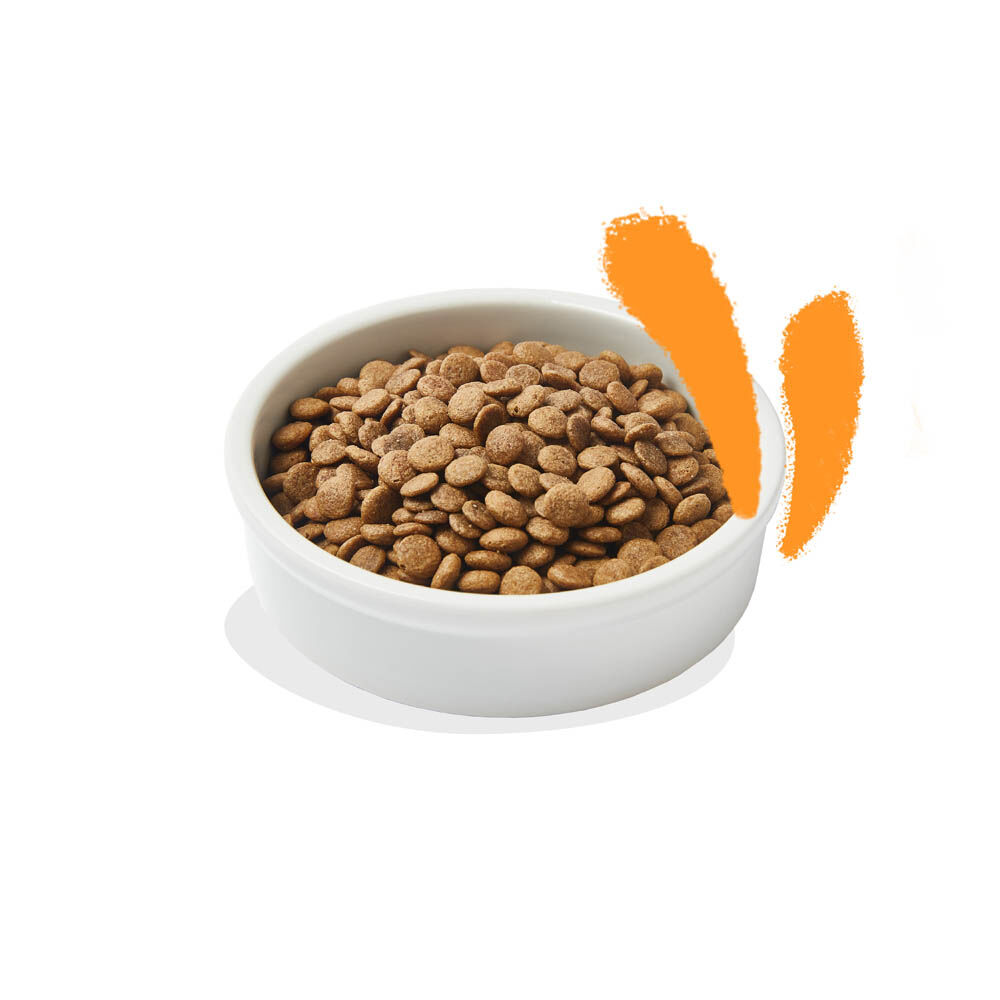 Edgard & Cooper Brokjes - Kattenvoer - Kip - 4 kg