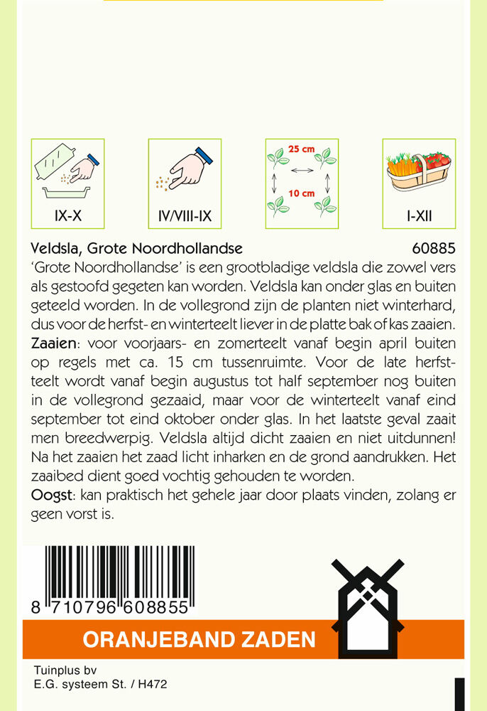 Oranjeband zaden Veldsla Grote Noordhollandse - Groentezaden - 5 gram