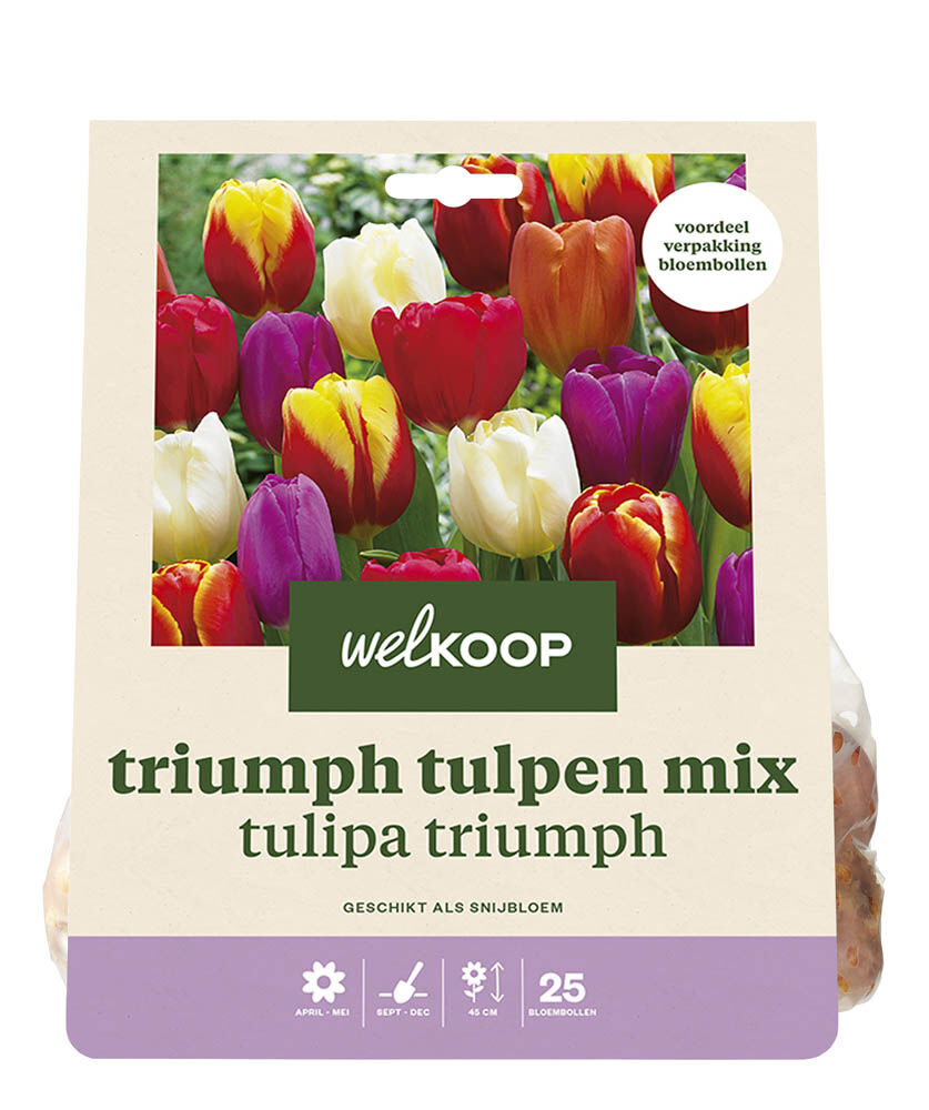 Welkoop Tulpen mix Lot - Bloembollen Welkoop Tulpen mix Lot - Bloembollen