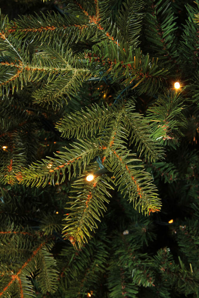 Black Box Trees Frasier - Kunstkerstboom - 480 - 230 cm - Groen