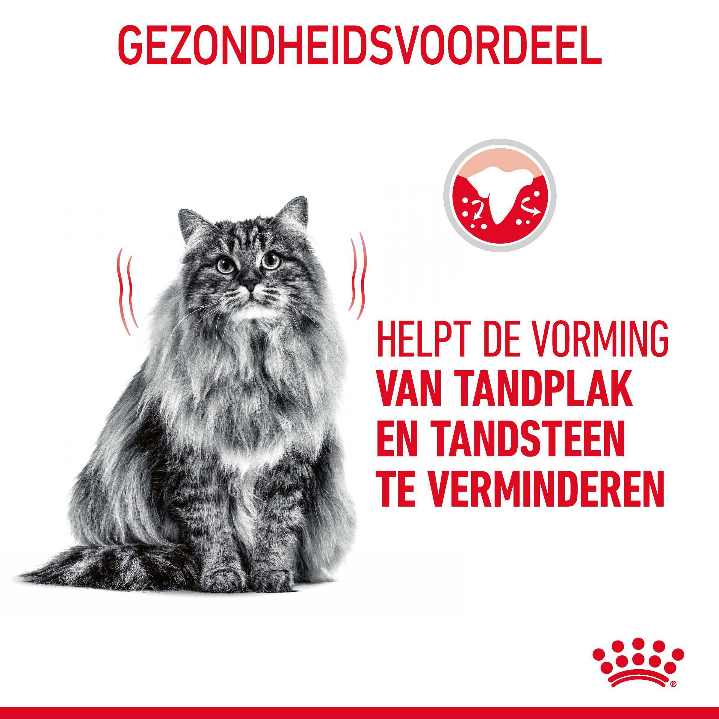 Royal Canin Oral Care - Kattenvoer - 3500 - Gevogelte
