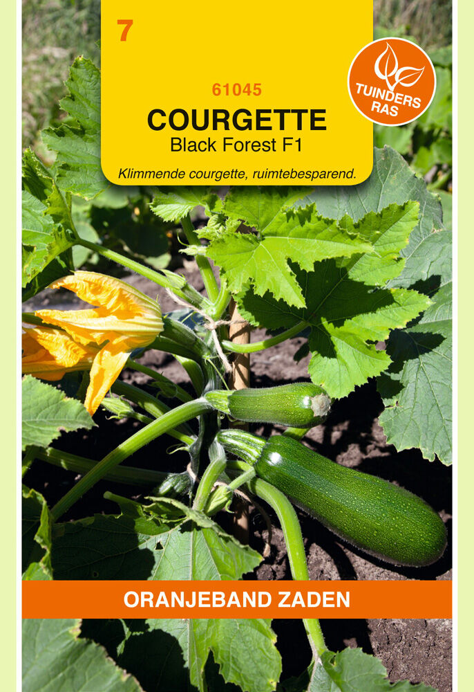 Oranjeband Courgette Black Forest F1 - Groentezaden Oranjeband Courgette Black Forest F1 - Groentezaden