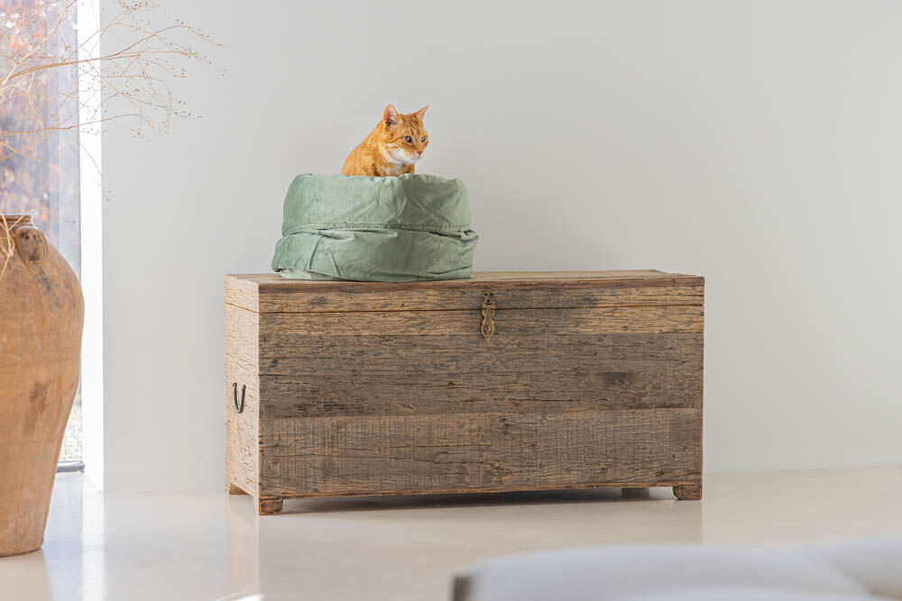 Designed by Lotte Fluco - Kattenmand - 1.00 cm - Groen - 45.00 cm - 1.00 cm
