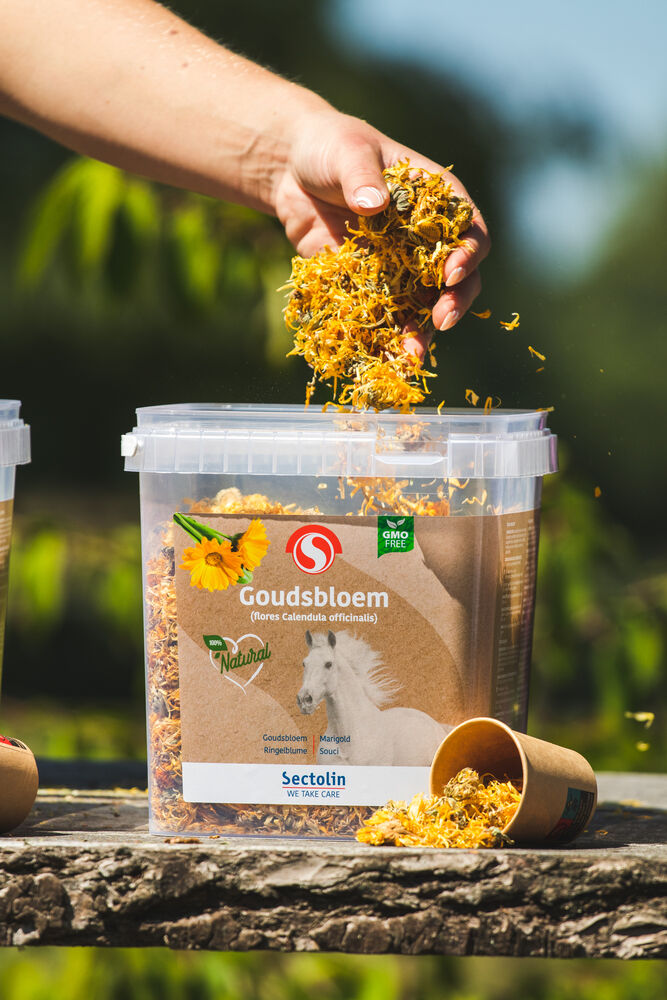 Sectolin Goudsbloem Kruid - Spijsverteringsupplement Paard - 400