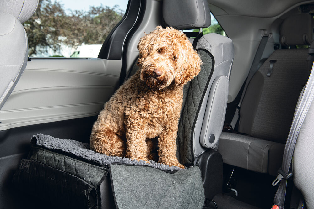 Dirty Dog - Autodeken - Hond