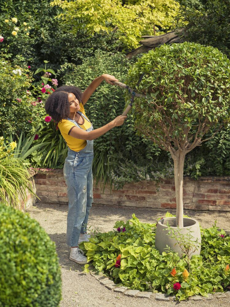 Gardena NatureCut - Hand heggenschaar - Grijs