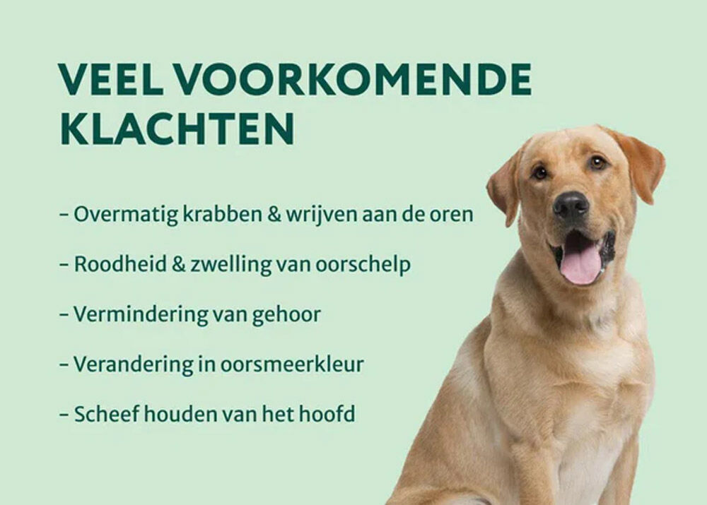 Dogsuppy Oorreiniger - Oorverzorging - 100