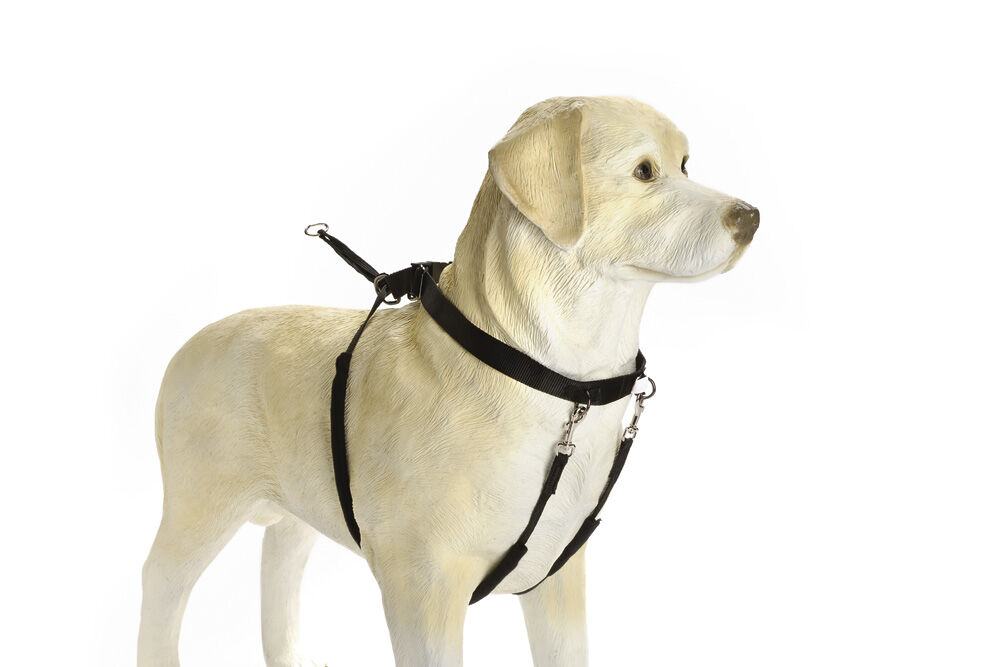 Beeztees Gentle Walker - Borsttuig Hond Beeztees Gentle Walker - Borsttuig Hond