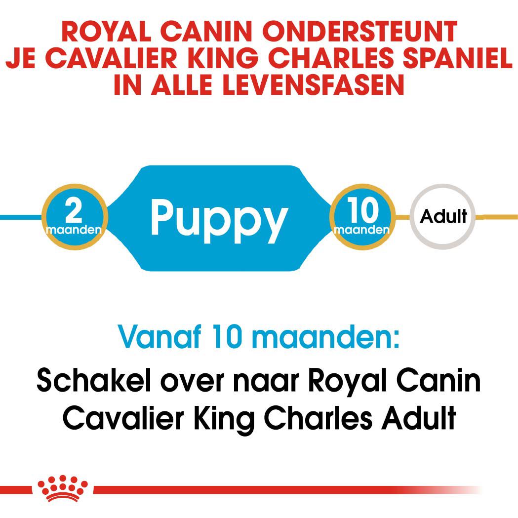 Royal Canin Cavalier King Charles Puppy - Hondenvoer - 1.5 - gevogelte