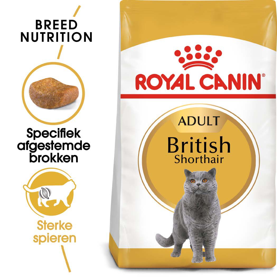Royal Canin Britse Korthaar Adult - Kattenvoer - 10 - Gevogelte